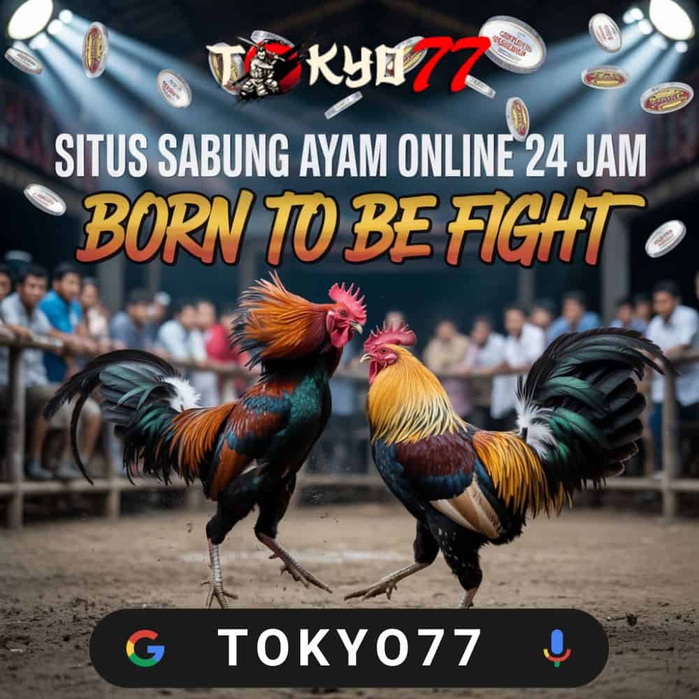 How to Make the Most of Your Time on Togel Platforms